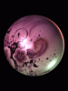 anim240x320_0008.gif